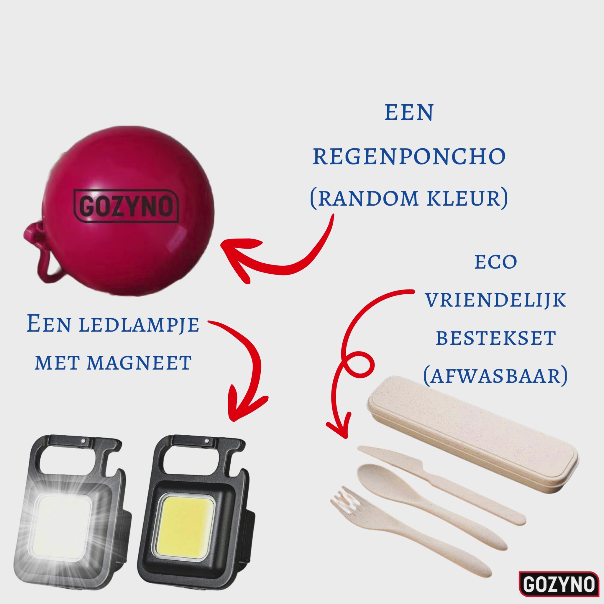 Gratis extra´s bij de Gozyno Easywalker